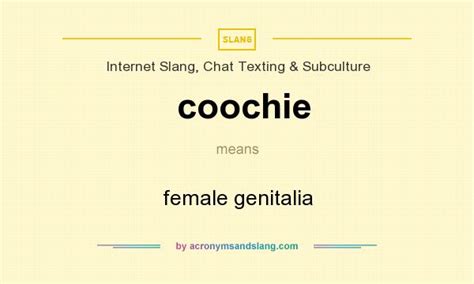 coochie|COOCHIE Definition & Meaning .